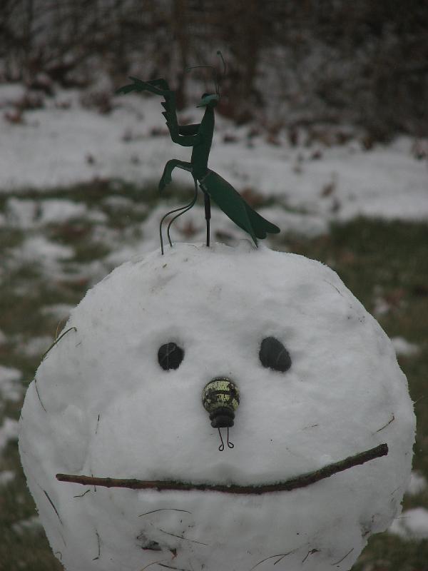 2008-12-07_First_Snow_2nd_set 003.jpg